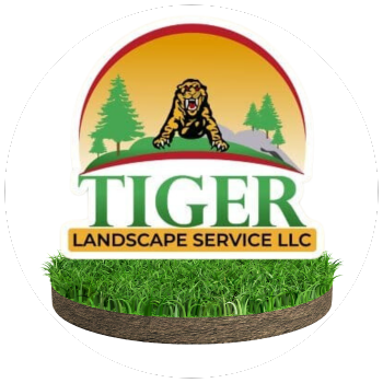 Diseno sin titulo 2023 08 21T180634.278