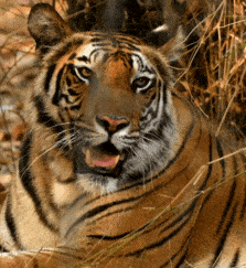 Diseno sin titulo 27 min