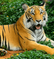 Diseno sin titulo 28