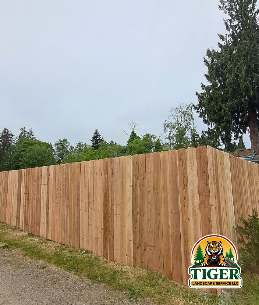 Landscape project